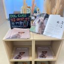 독클래스 유사리캠퍼스 | 독클래스 DOG CLASS. 한남센터. 이태원 경리단길 애견훈련 강아지 스트레칭.