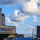 저동마을회관 | 울릉도 여행ㆍ나리분지 나리탐방로-추산 모닝 러닝 후 &lt;산마을식당&gt;