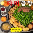 생한우곱창 | 강남 곱창 신상 맛집 다미곱창 강남본점 | 강남역 곱창 한우모듬구이 깍두기볶음밥 후기 | 강남역 맛집