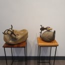 대구학생문화센터 이미지