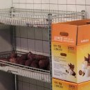 본촌생태어린이공원 이미지