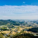 표교초교 이미지