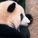 행복사진관 이미지