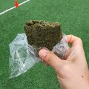 파크골프아카데미 | [동명대] 25년 파크골프아카데미 1기-5회차