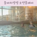 (주)아쿠아링크 | 쏠비치 양양 오션플레이 모자 아쿠아슈즈 워터파크 수영장 할인