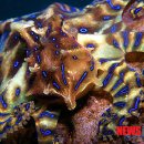 (주)파란제주 이미지