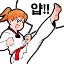 용인대미르태권도 - 원주시 배울로 49 | 용인대미르태권도
