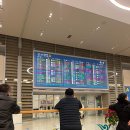 12/4~12/16)ㅣ더 리버 사이드 호텔, 롯데타워 전망대, 인천공항, 에그드랍, 피자나라치킨공주, 푸라닭치킨