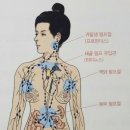 희소식 Daum카페