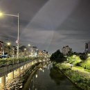 목포산낙지철판해물 이미지