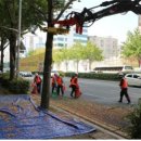 은행나무 경로당 이미지