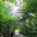 문장대식당 | 속리산 문장대(1,058m)