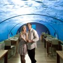 섬레스토랑 이미지