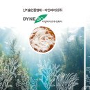 다인기획 이미지