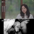 조리농업협동조합 | [리뷰IS] 이효리가 순심이를 떠나보내는 법 - 일간스포츠 (joins.com)