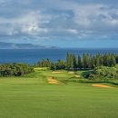 굿샷골프 이미지