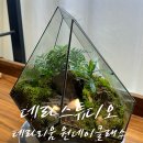 광주 테라리움 원데이클래스 데라스튜디오 이끼의매력