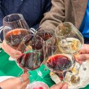 한메드라인 이미지