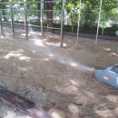 대구태암초등학교 이미지