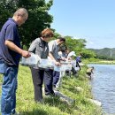 남원종자 이미지