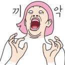 메카레코드 이미지