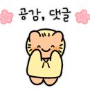 정갈한우동가게 이미지