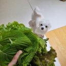 영옥농장 이미지