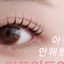 새늘 이미지