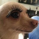 머무르다 이미지