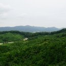 깃대봉(315m삼각점 충북20)하소뒷산(하소산392m)쇠경재산(387m)금박산(392m)천남산(390m)/충북제천 이미지