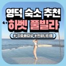 대게마트 | 영덕 지중해 감성 리조트 / 영덕 풀빌라 / 로얄 스위트 룸 / 내돈내산 / 영덕 백암 대게마트 솔직후기