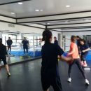 대성킴 복싱클럽 이미지