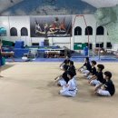 경희대 박사 Tiger kicks 태권도 이미지