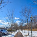 담양 반딧불 이미지