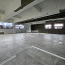 사파동160 이미지