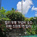 발리 신혼여행 우붓 가성비 숙소, 자파 스위트 앤 빌라 후기