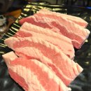 칼든돼지 - 37981 | 칼든돼지
