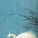 작은백로 이미지