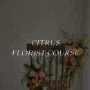 서초대로46길 80 이미지