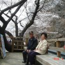 하사마을 이미지