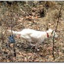 형수농장 이미지