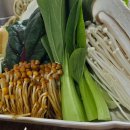 호박오리 이미지