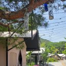 여행 영어 | 충남 공주 당일치기 가볼만한 곳 계룡산 바베큐 글램핑 대전 동학사 근처 파크오브드림 솔직후기