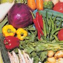 오산농장 이미지