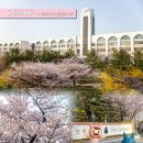 인항로24번길 네이버블로그