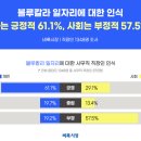 블루칼라