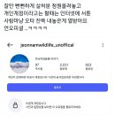 전남야생동물 구조관리센터가 길고양이 살처분하자는 청원에 동조함 이미지
