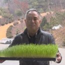 보리주식회사 이미지