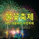 대천 겨울바다 사랑축제(12월 축제) 이미지