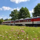 문화예술플랫폼 이미지